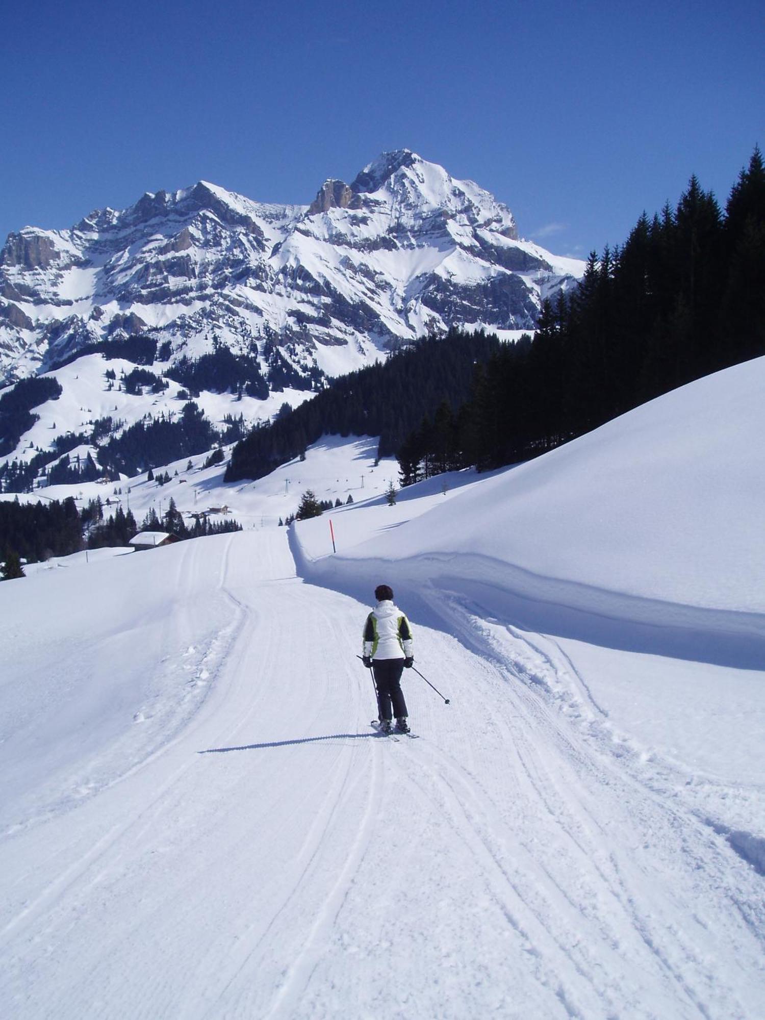 Hotel Des Alpes Adelboden Exteriör bild