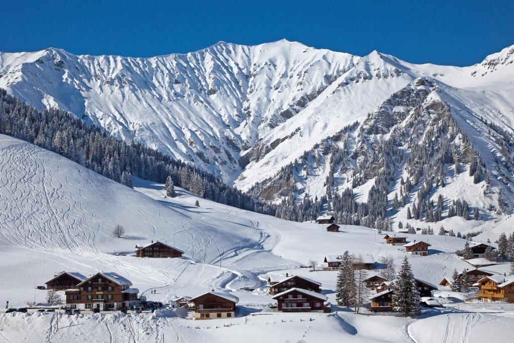 Hotel Des Alpes Adelboden Exteriör bild