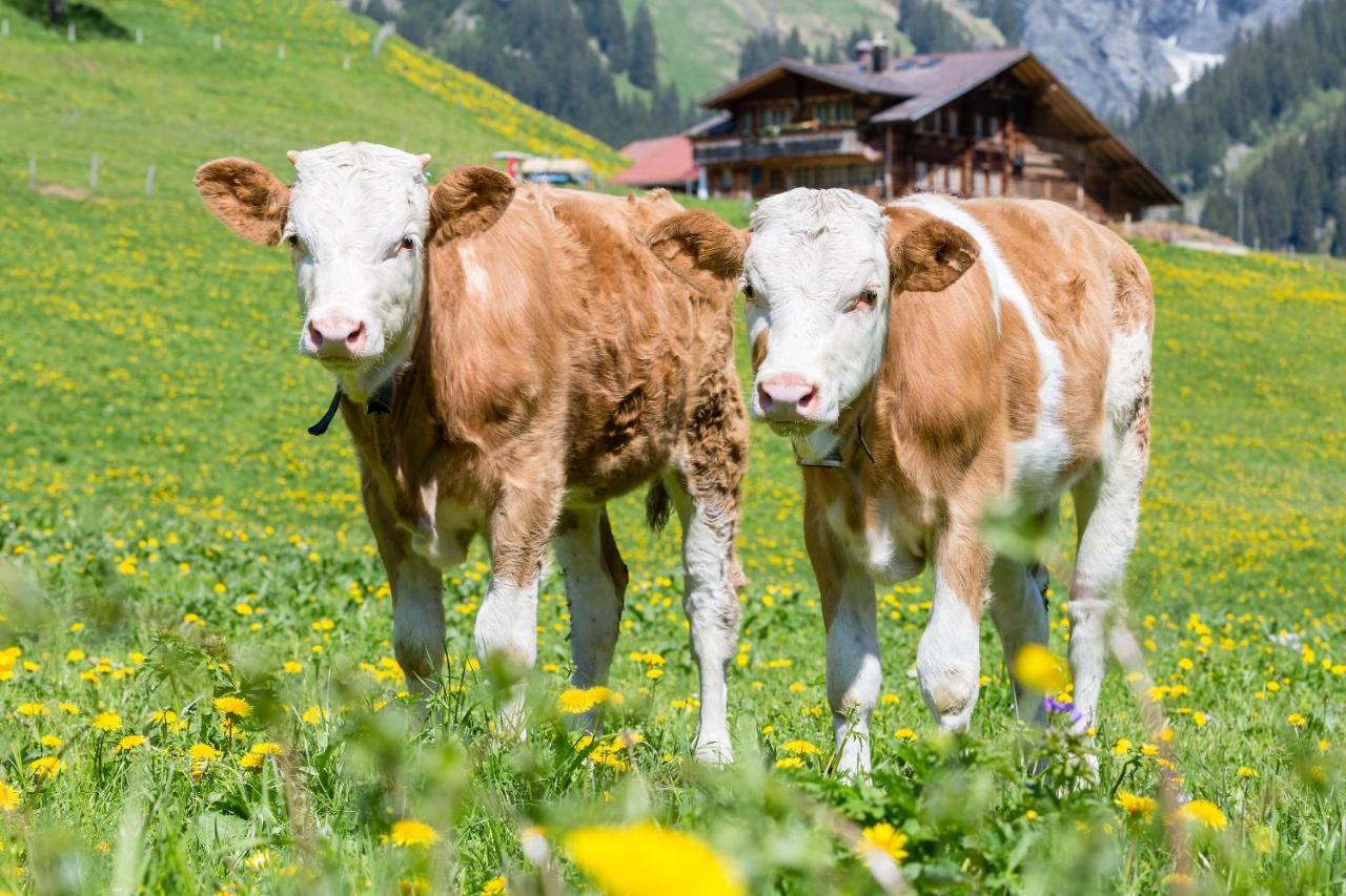 Hotel Des Alpes Adelboden Exteriör bild