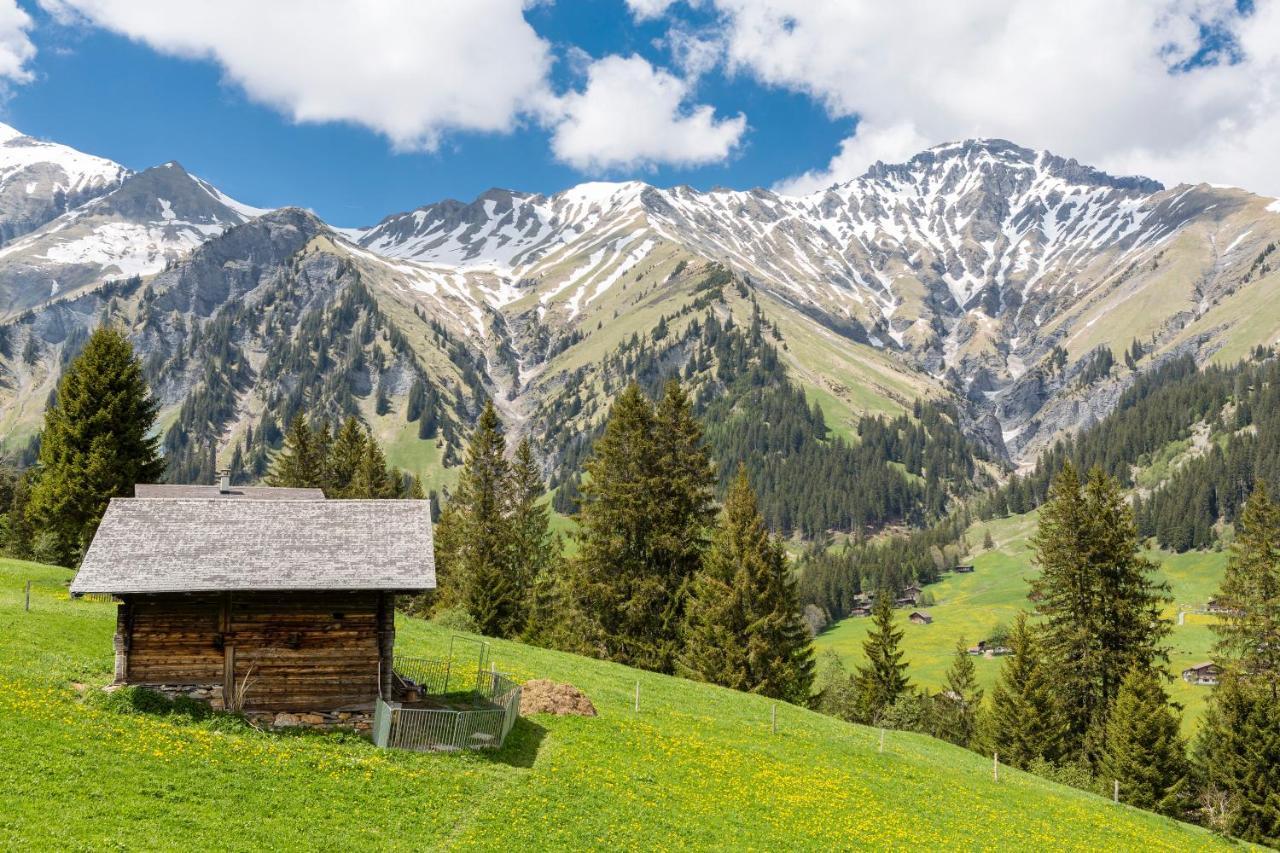 Hotel Des Alpes Adelboden Exteriör bild
